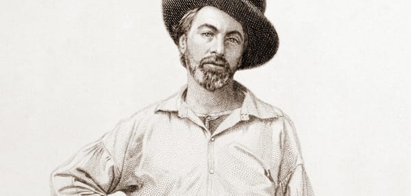 Surprising Lessons from Formal Logic (Without Doing Any)